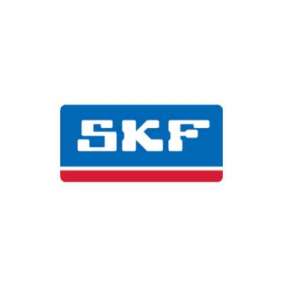 SKF 50X65X10 HMSA10 RG